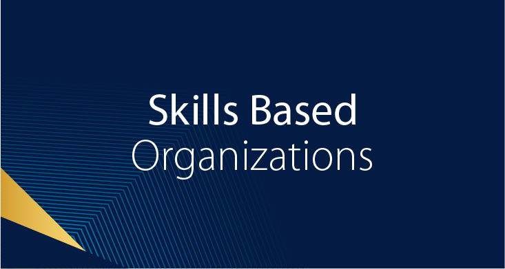 المنظمات القائمة علي المهارات Skills Based Organizations